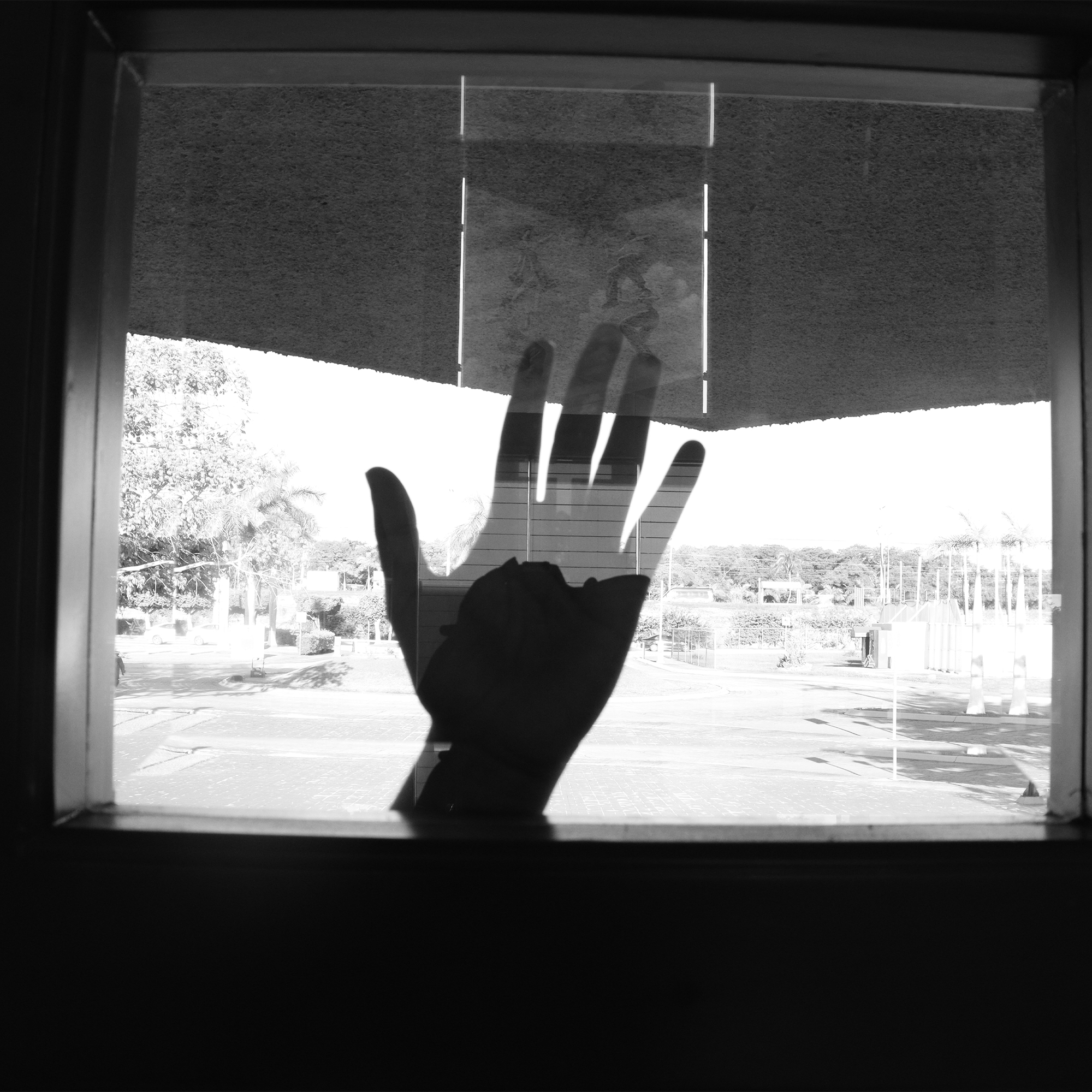 Foto_5